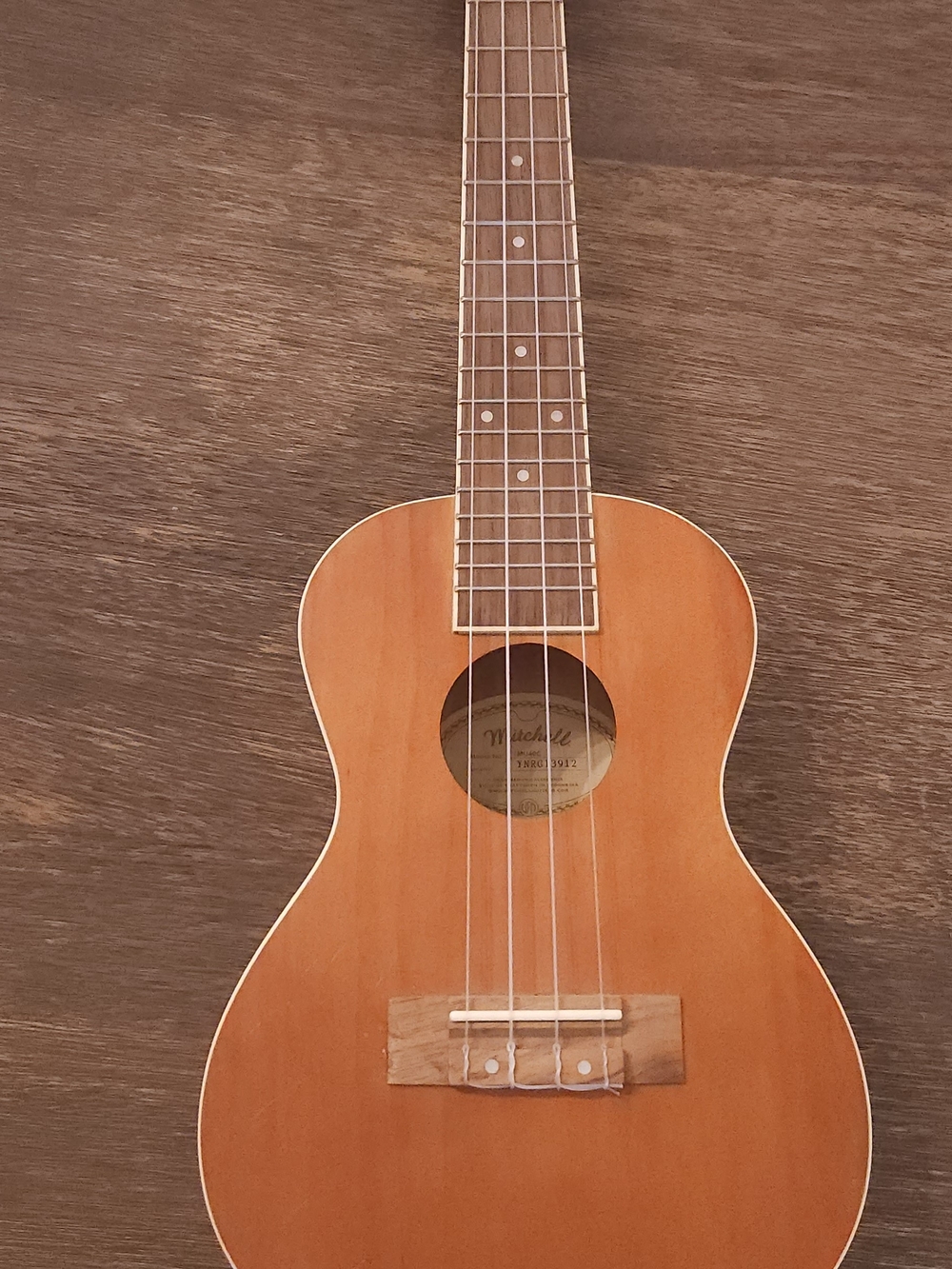 Natural Wood Concert Ukulele - Light Brown Top